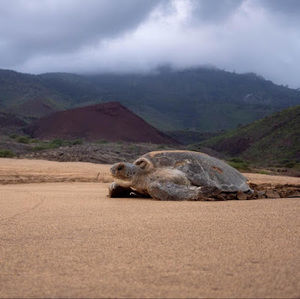 Meet your Posher, Rick